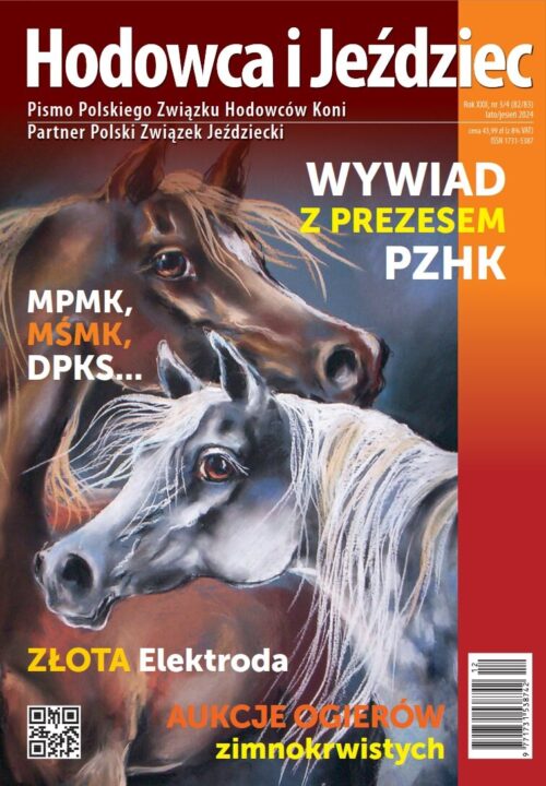 HiJ nr 82/83 - okładka