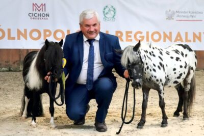 Sławomir Piotrowski, Prezes Polskiego Związku Hodowców Koni