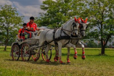 XXXIII Mistrzostwa Polski Zaprzęgów Parokonnych Hodowca i Jeździec