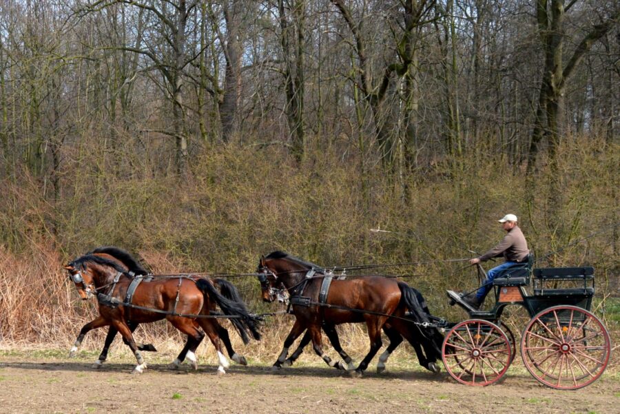 Trening czwórki Piotra Mazurka