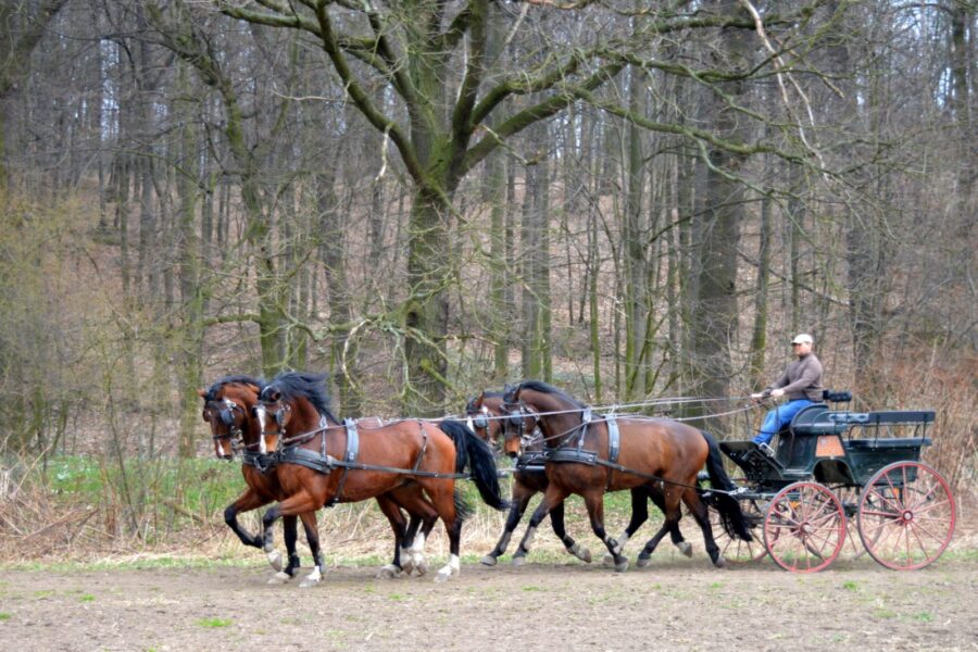 Trening czwórki Piotra Mazurka