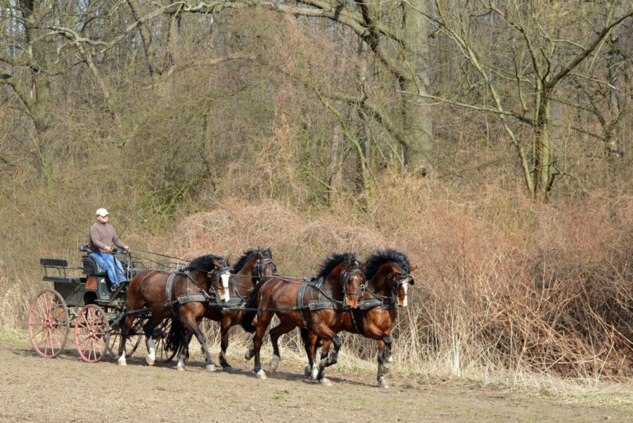 Trening czwórki Piotra Mazurka