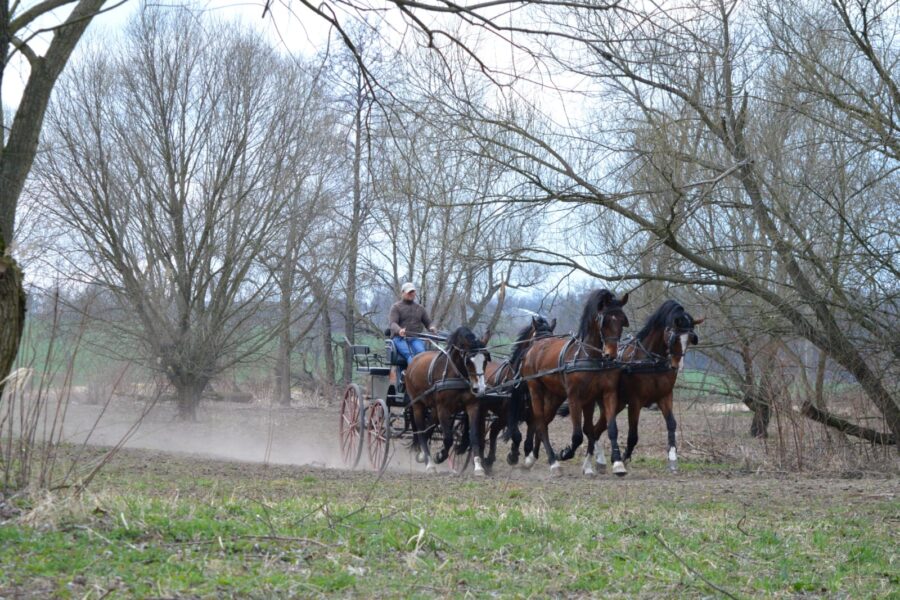 Trening czwórki Piotra Mazurka